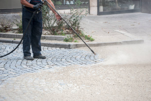 Best Brick and Stone Cleaning in Hwatha, IA